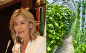 Rotary Aquaponics project in Soweto